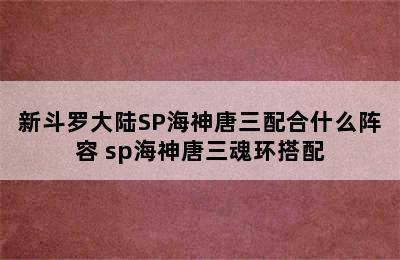 新斗罗大陆SP海神唐三配合什么阵容 sp海神唐三魂环搭配